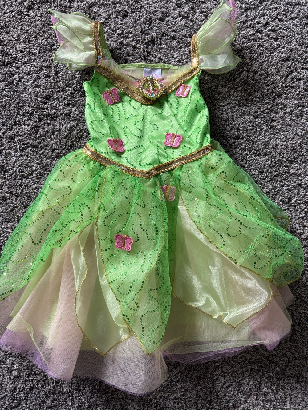 Disney Green and Pink Butterfly Fairy Costume Dress